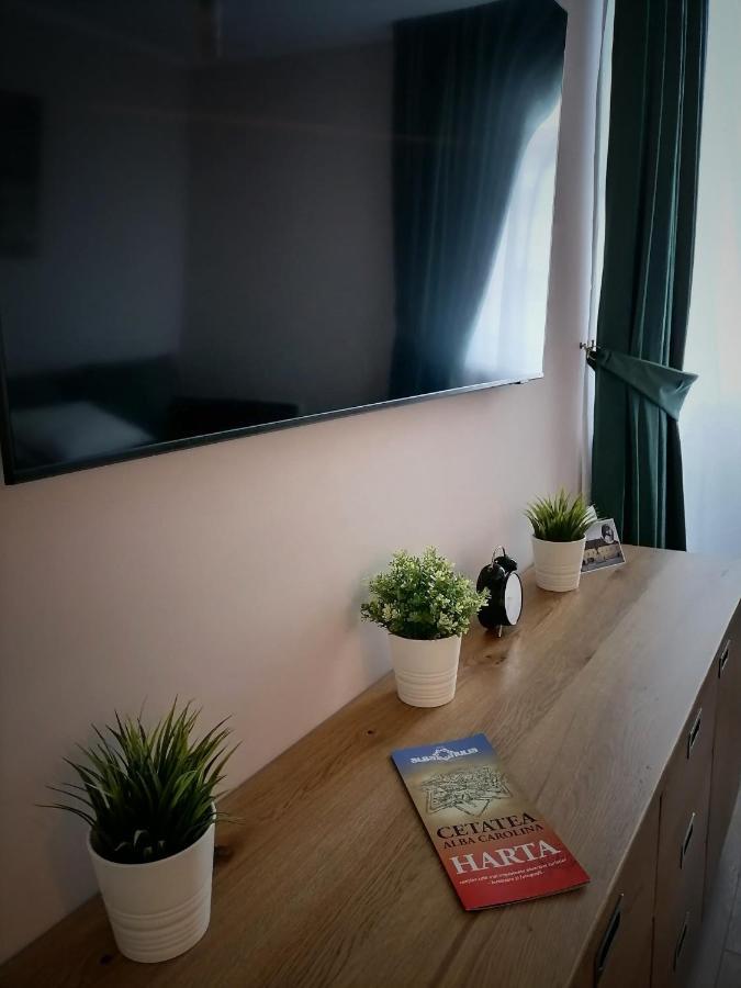 Apartamentul Cetatii Appartamento *